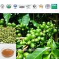 Высший Сорт Травяной Экстракт Бесплатный Образец Экстракт Зеленого Кофе В Зернах Порошок С Заводской Цене 